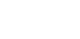 stevi logo white